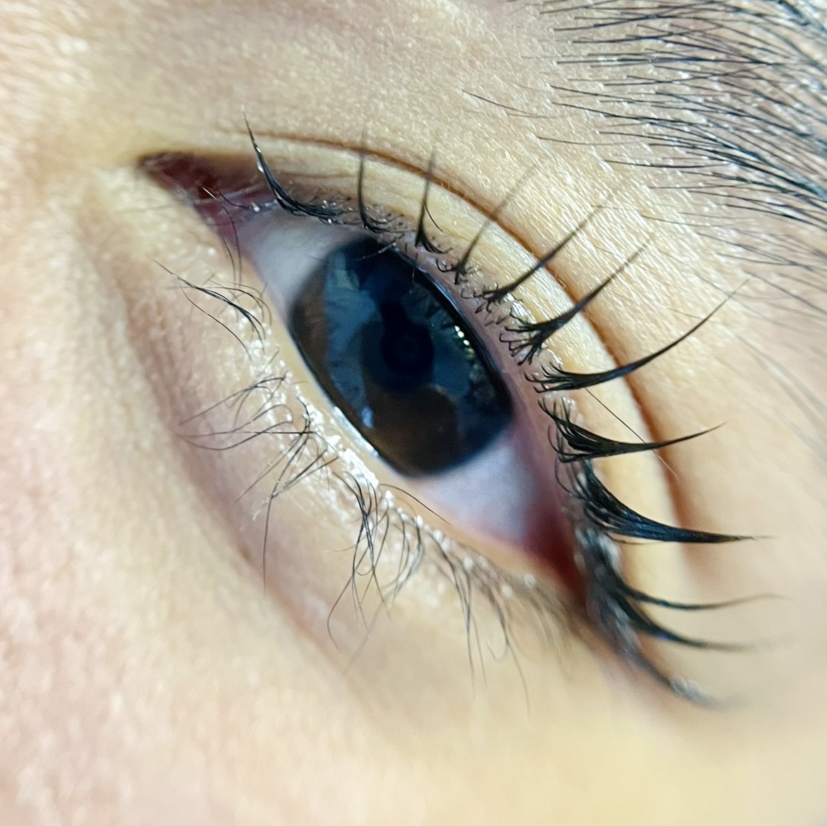 K-Glueless Lash Lift 🇰🇷