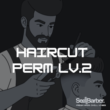 Haircut Perm Lv.2